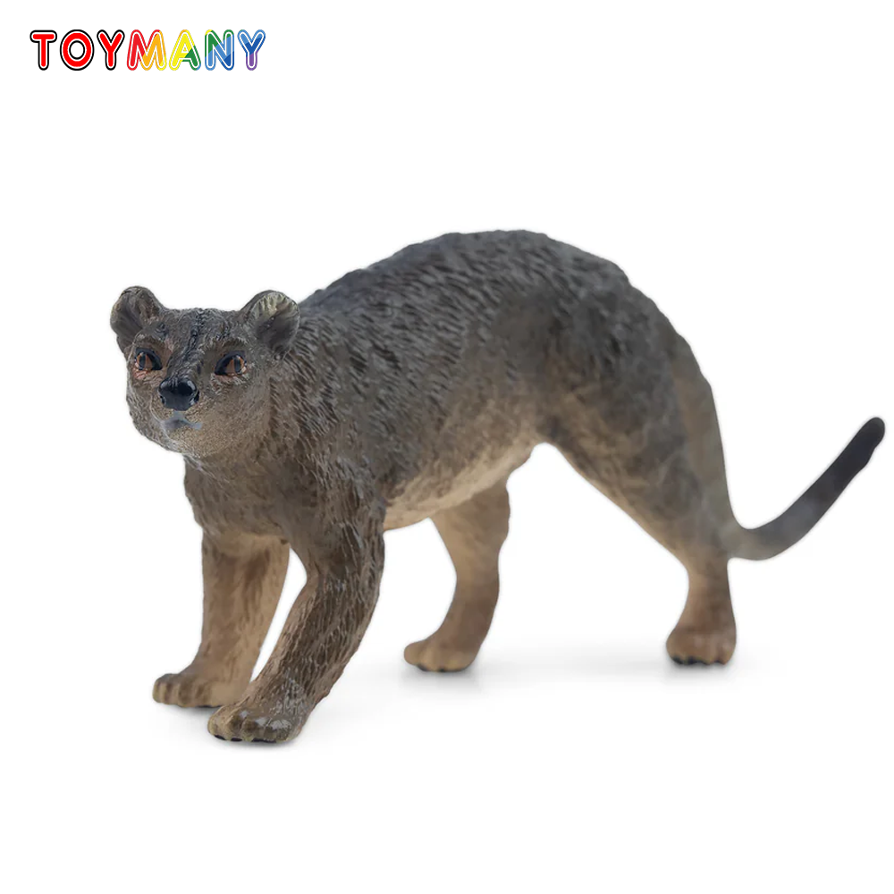 Kids Toys Latest - Toymany Simulation Fossa Madagascar modèle Animal