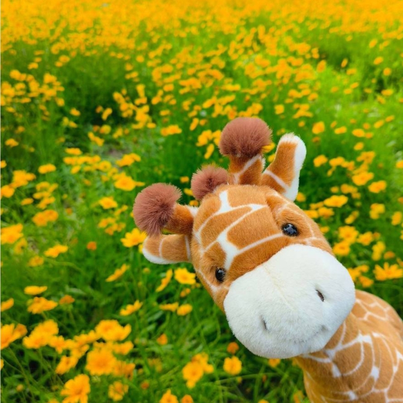 Peluche girafe très douce pour - Kids Toys Very avis et prix