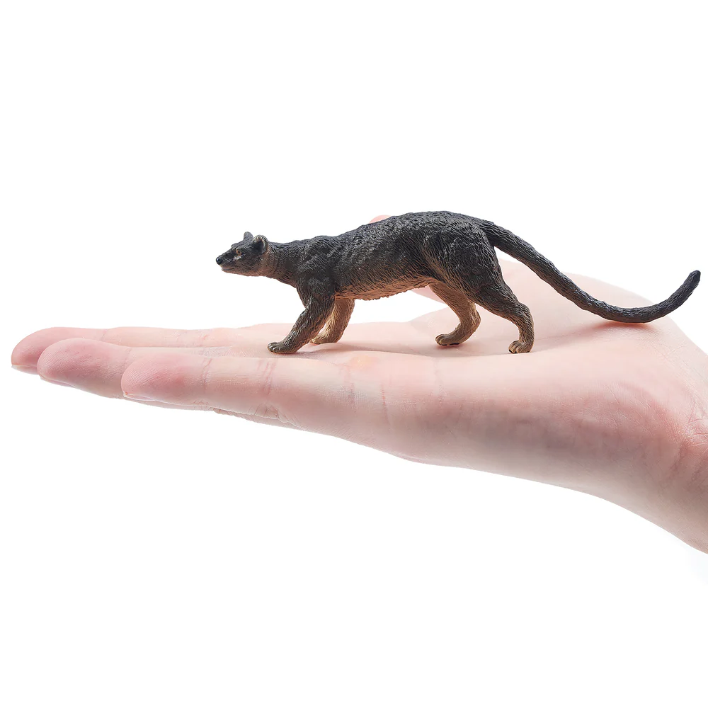 Toymany Simulation Fossa Madag - Kids Toys Latest avis et prix