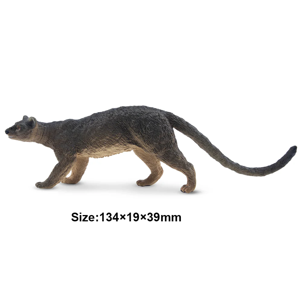 Toymany Simulation Fossa Madag - Kids Toys Latest avis et prix