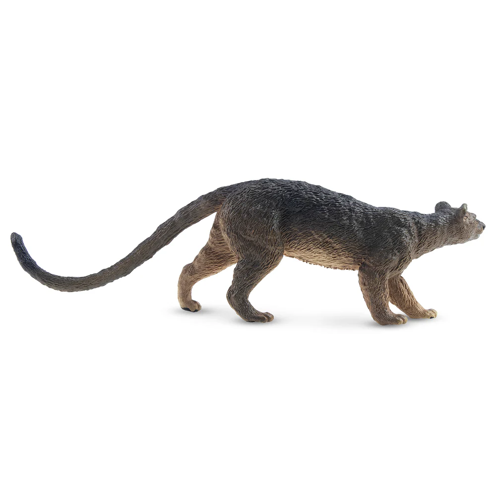 Toymany Simulation Fossa Madag - Kids Toys Latest avis et prix