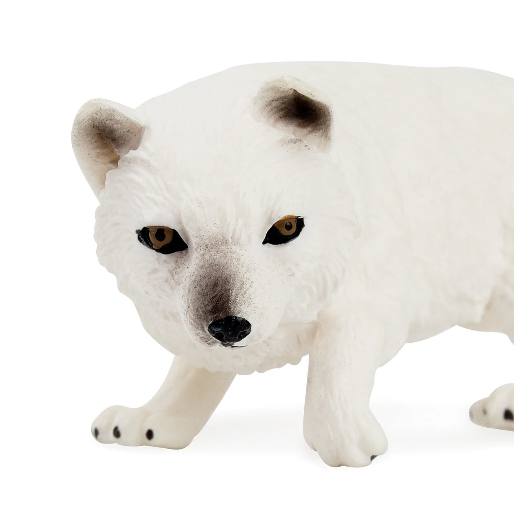 Toymany-Figurines d'action de  - Kids Toys Latest avis et prix